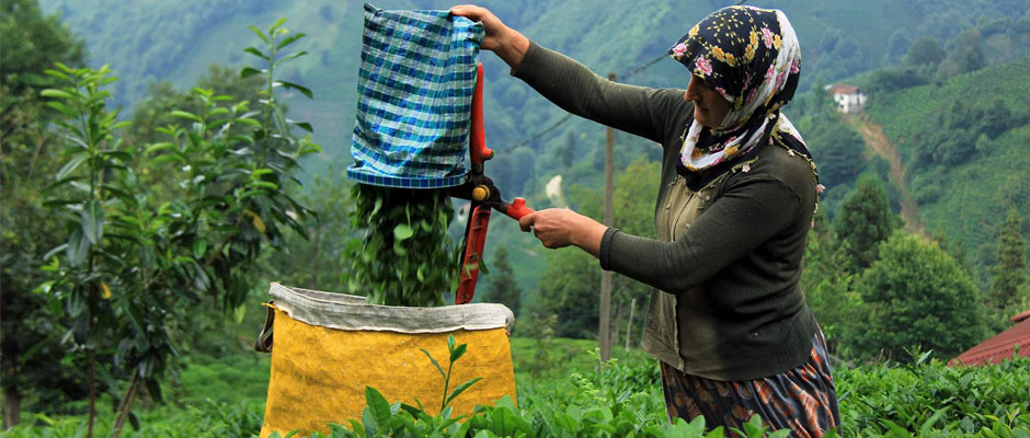 Aykur B N Ton Ay Aldi Taka Gazete Trabzon Haber Karadeniz Haber