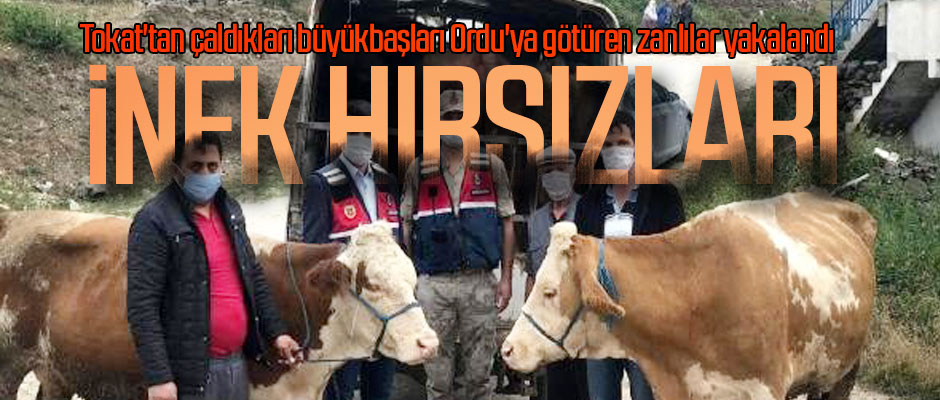 Nek Hirsizlari Taka Gazete Trabzon Haber Karadeniz Haber