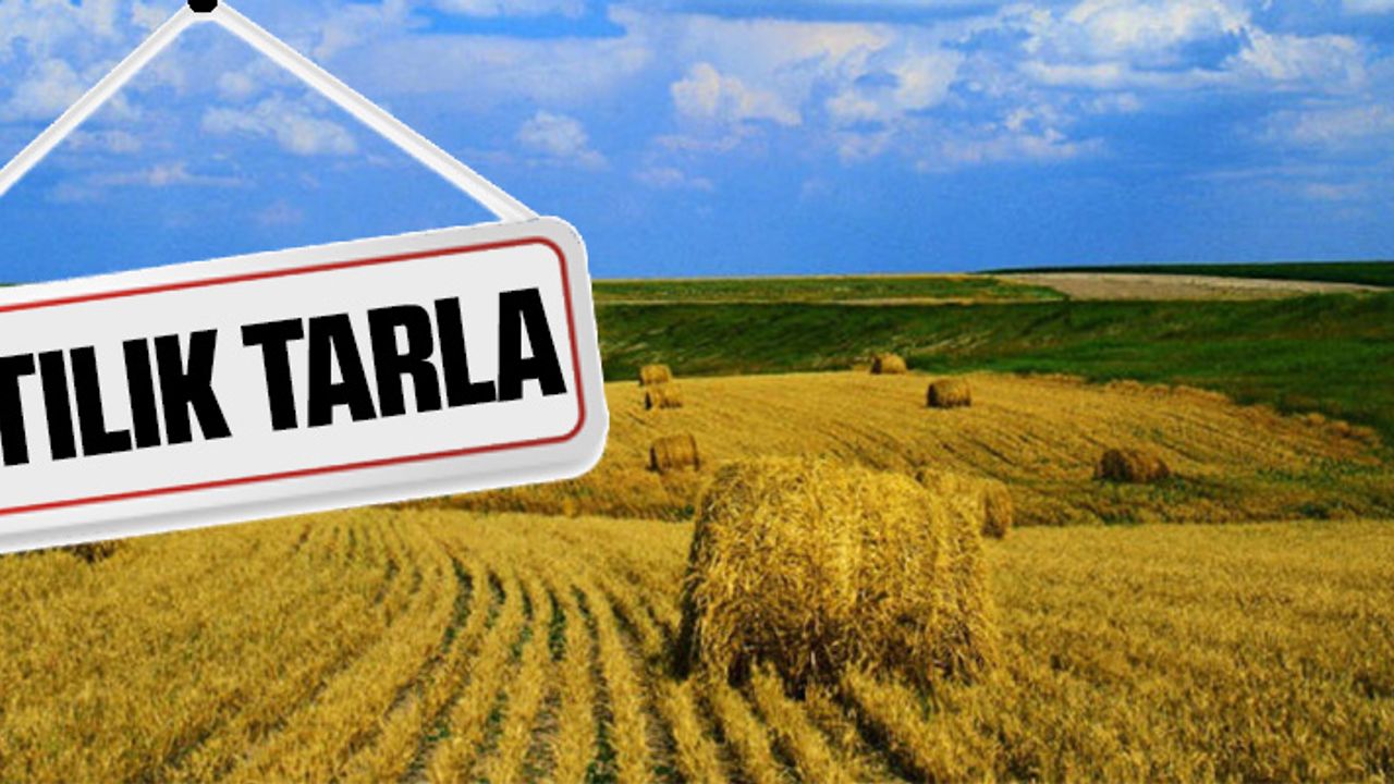 MUĞLA ORTACA'DA SATILIK TARLA