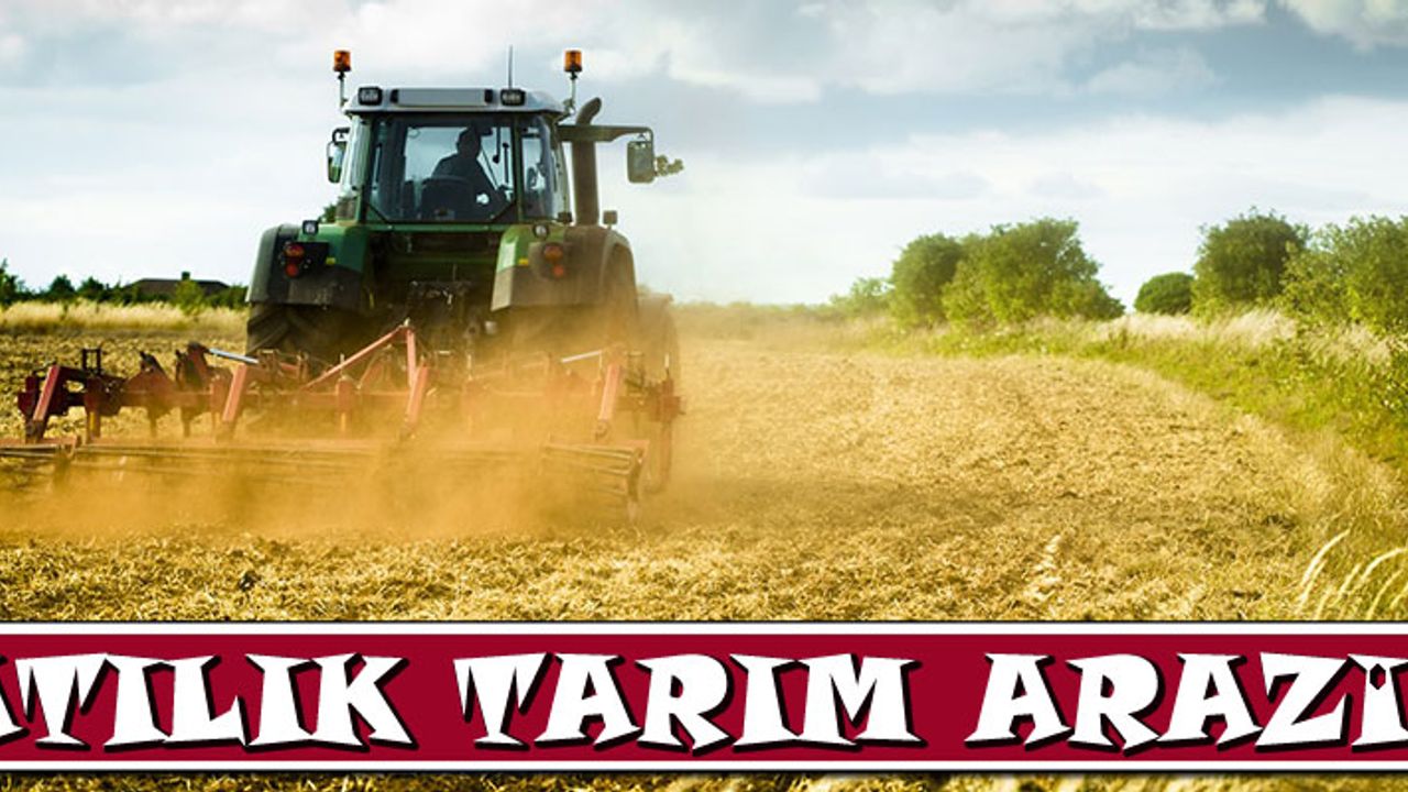 ADANA İMAMOĞLU'NDA SATILIK TARIM ARAZİSİ