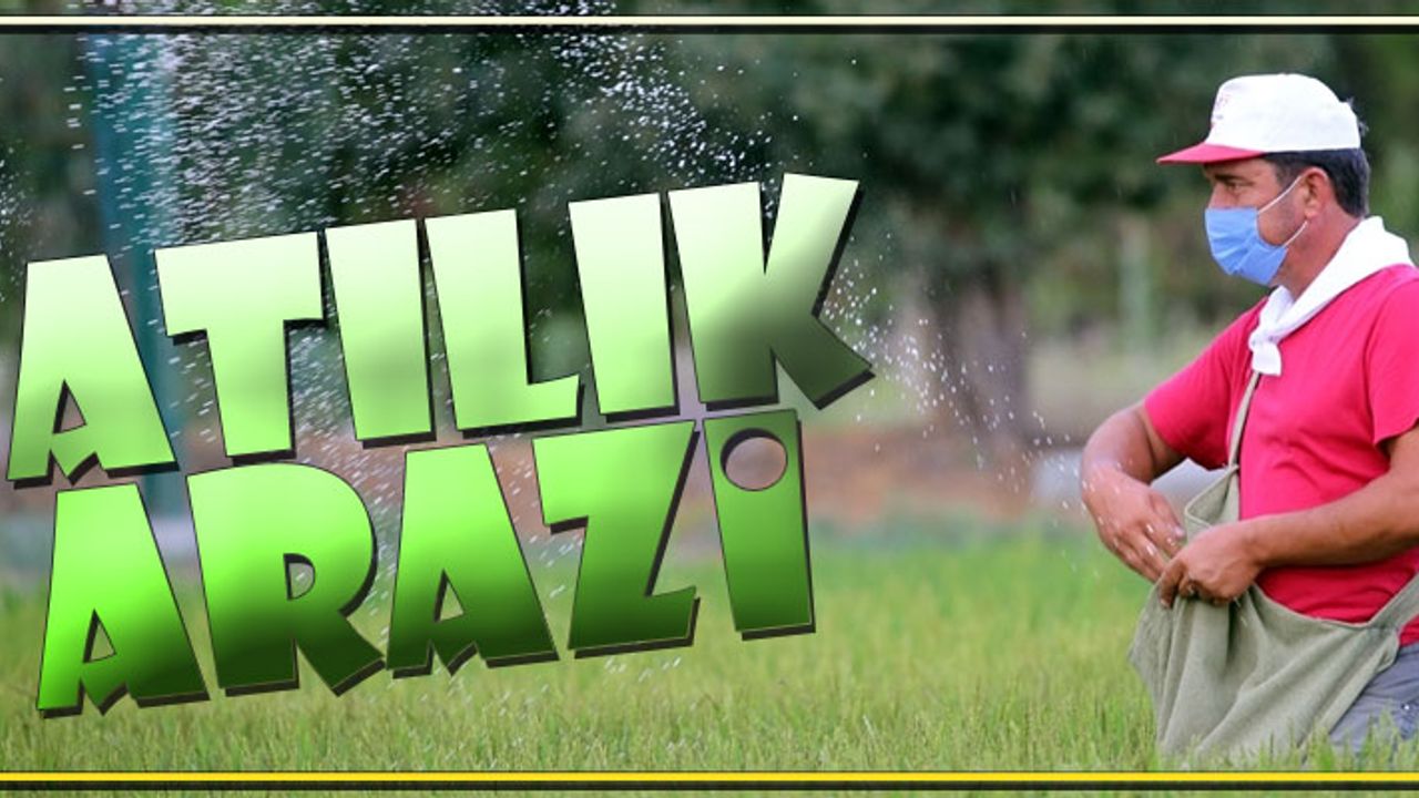 YOZGAT YERKÖY'DE SATILIK TARIM ARAZİSİ