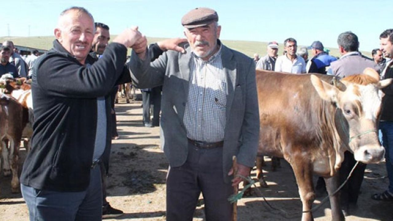 BAYBURT'TA CANLI HAYVAN PAZARI KAPATILDI
