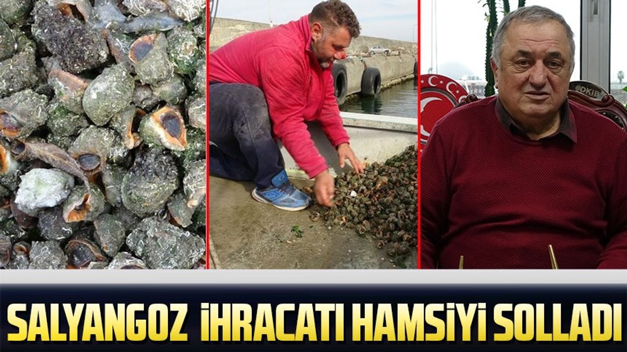 Türkiye, Deniz Salyangozu İhracatıyla Döviz Gelirini Artırıyor