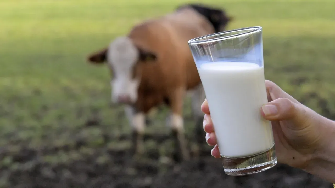 Süt ve Yoğurt Ürünlerine Yeni Kısıtlama: Büyük Ambalajlarda Satış Yasaklandı