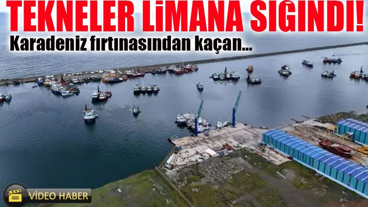 Karadeniz’de Fırtına Vurdu! Balıkçı Tekneleri Limana Sığındı