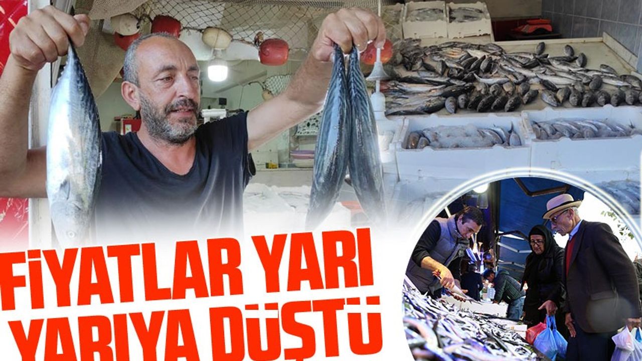 Doğu Karadeniz’de Palamut Bolluğu: Fiyatlar Yarıya Düştü!