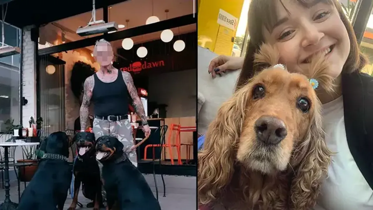 SAMSUN 4 köpeğin saldırısına uğrayan Lilly öldü, sahibi de yaralandı