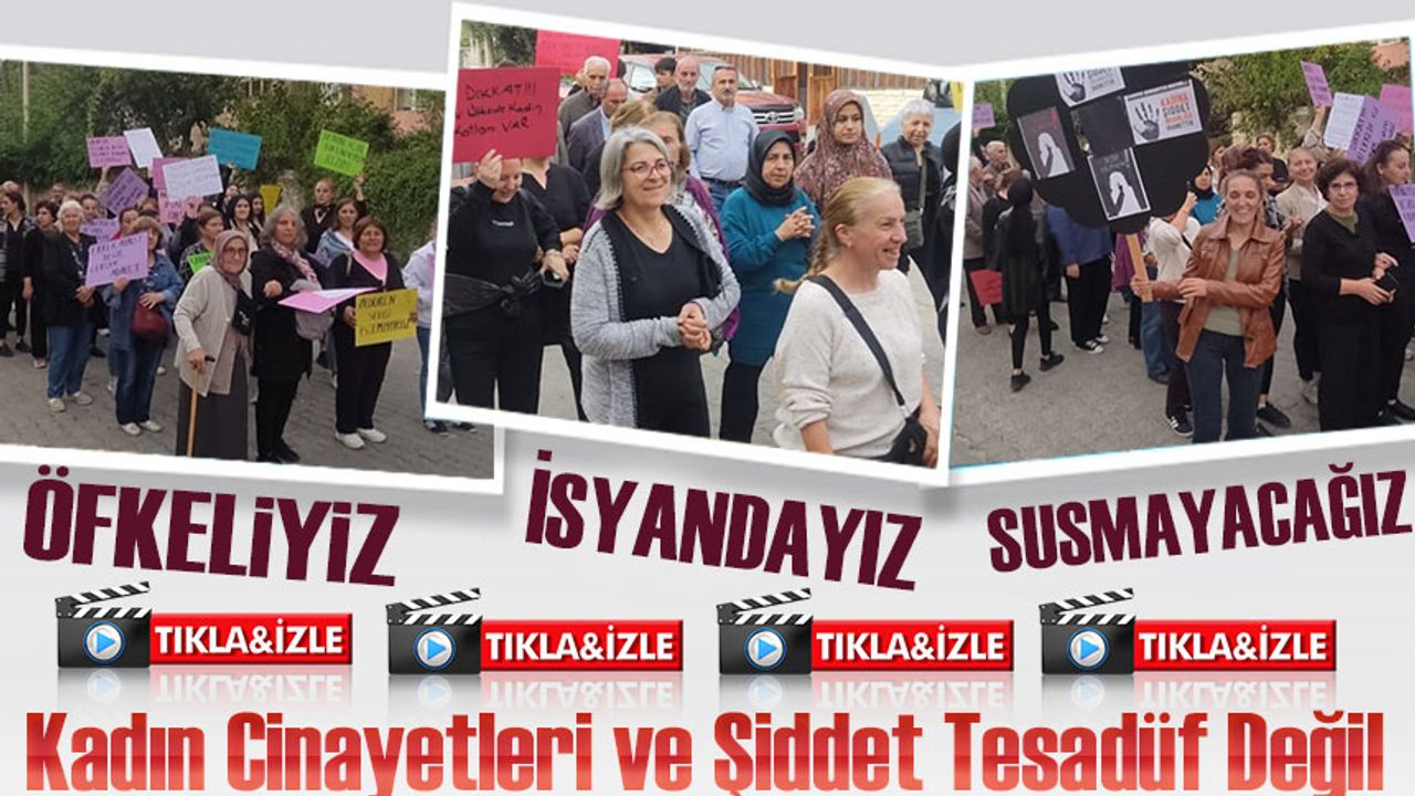 Kadın Cinayetleri ve Şiddet Tesadüf Değil