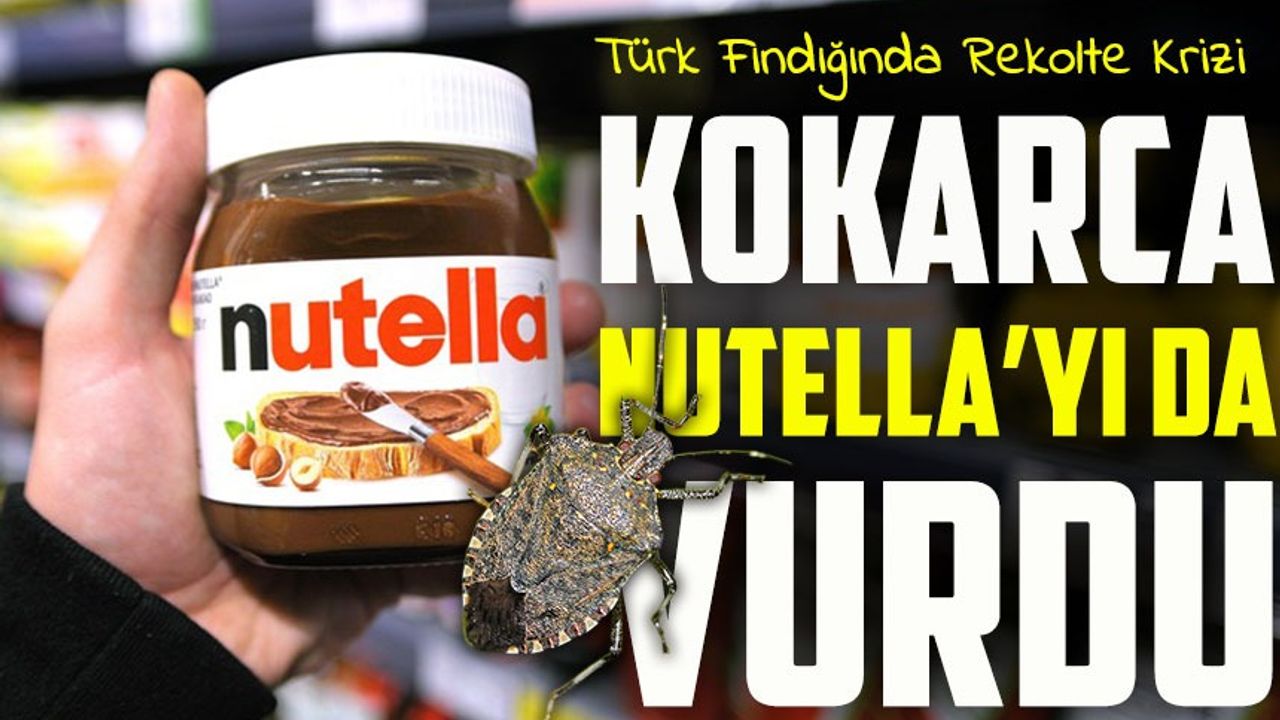 Nutella’nın Üreticisi Türkiye’den Fındık Almıyor; Ferrero Türkiye'den Fındık Alımını Durdurdu