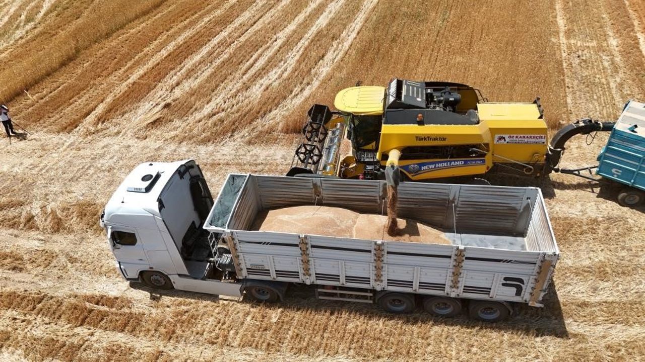 Arpa Kaç TL Oldu? TMO Müdahalesi Yeterli Olacak mı?