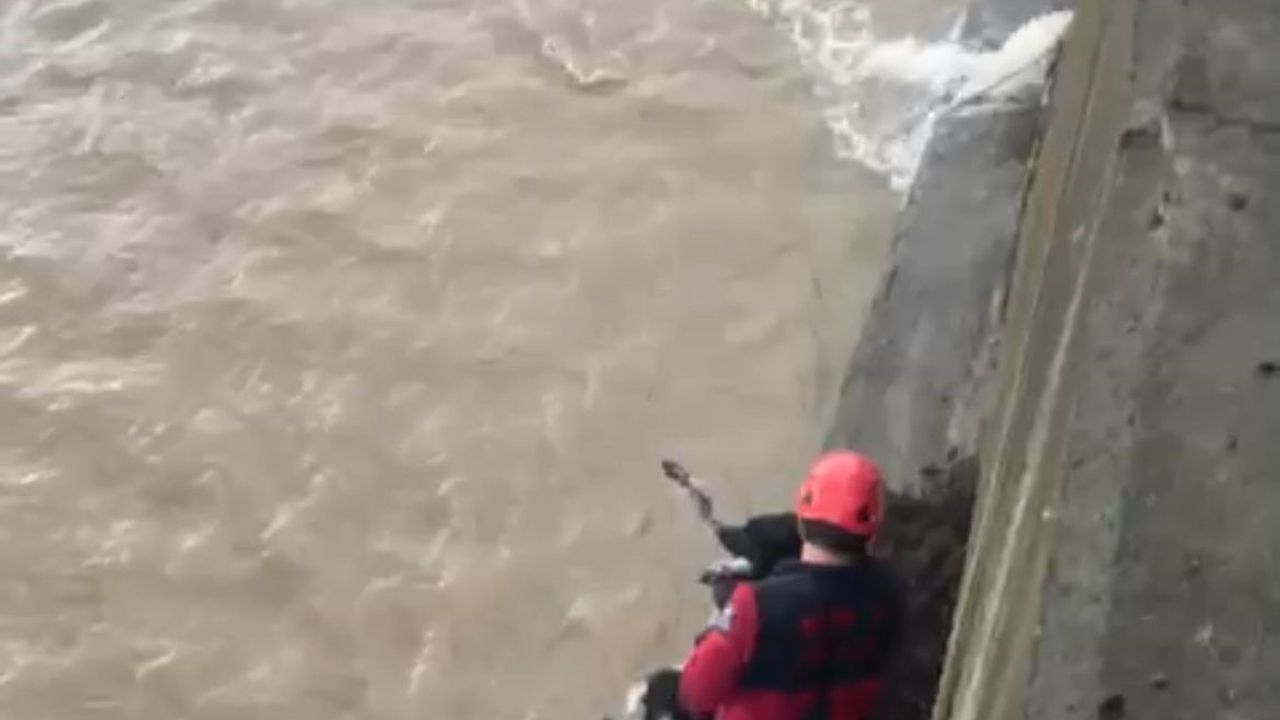 Derede mahsur kalan köpeği itfaiye ekibi kurtardı