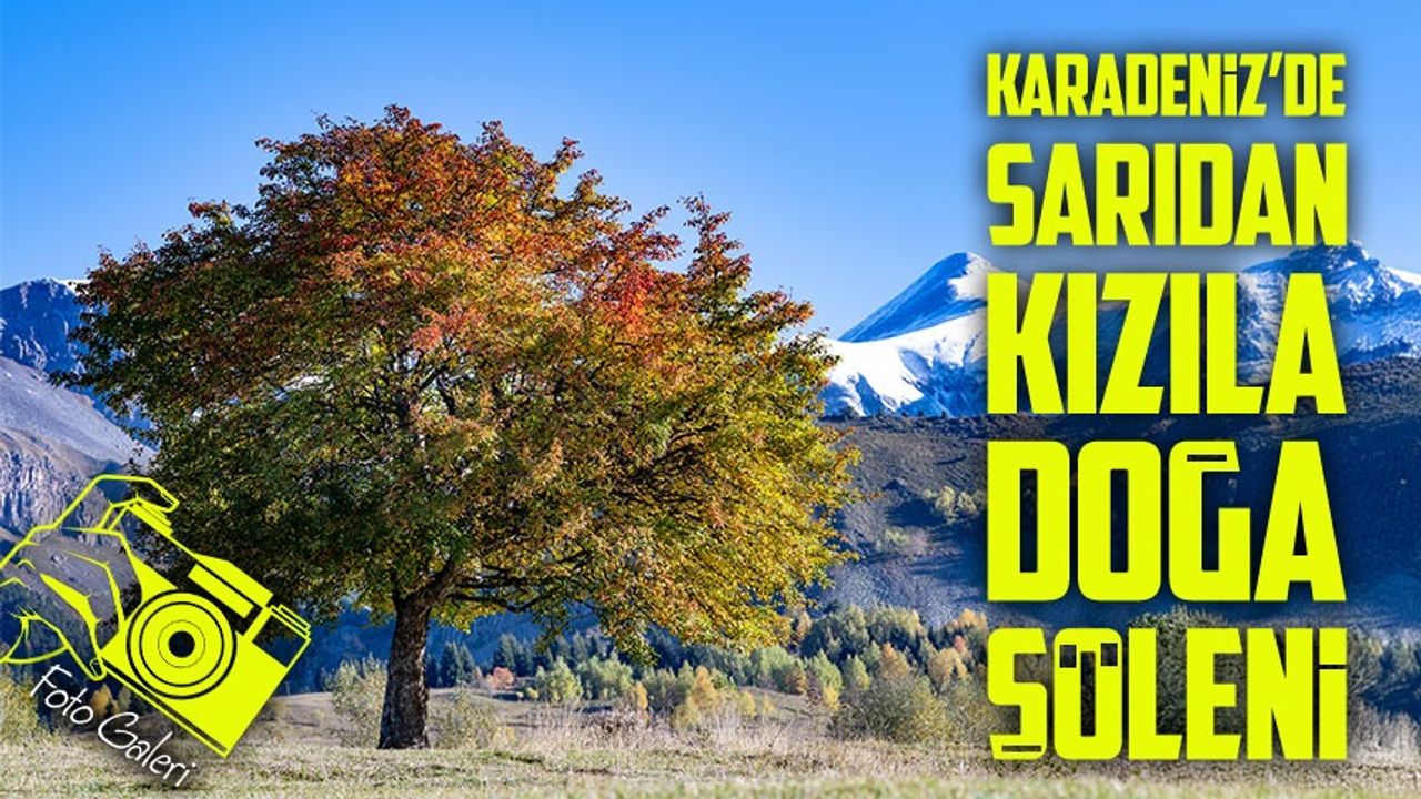 Sonbaharın Tüm Renkleriyle Büyülüyor: “Sakin Şehir” Şavşat'ta Görsel Şölen