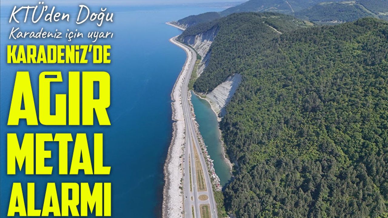 Doğu Karadeniz Limanlarında Ağır Metal Alarmı: Hopa İlk Sırada