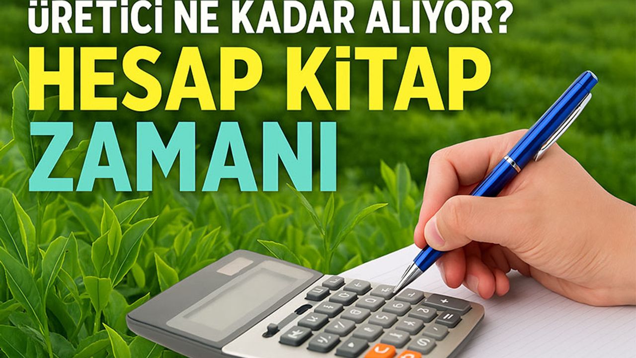 Çay Bahçelerinde Hesap Kitap Başladı! Bugün Üretici Ne Kadar Alıyor?