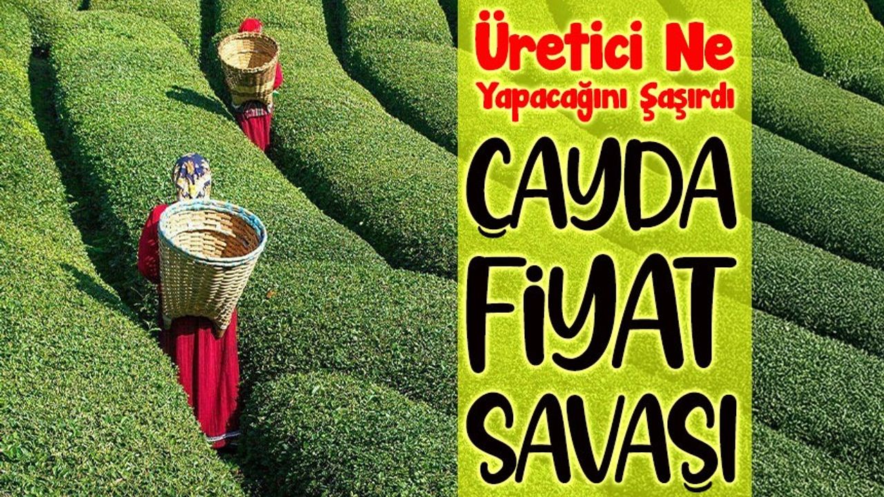 Çayda Fiyat Savaşı Başladı: Çayda Bugün Fiyat Farkı Zirvede!