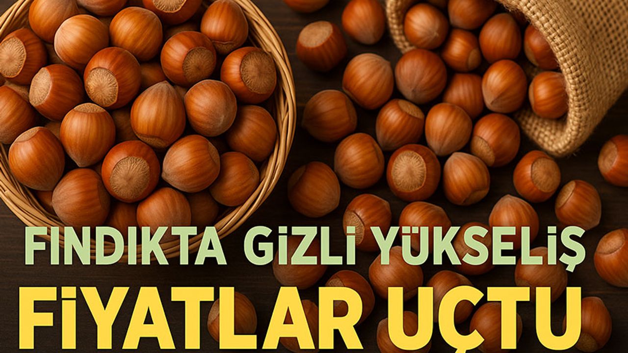 Fındıkta Gizli Yükseliş: Bugün Alım Merkezlerinde Fiyatlar Uçtu