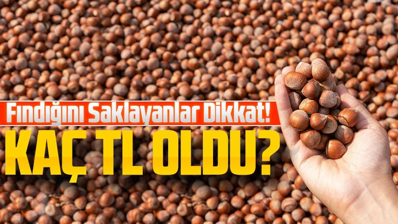 Bugün Fındık Kaç TL Oldu? Fındığını Saklayanlar Dikkat!