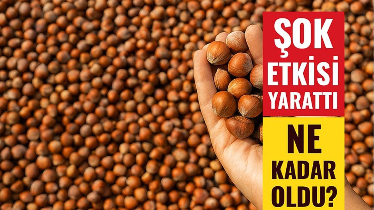Fındık Fiyatları Şok Etkisi Yarattı: Riskli Fiyata Kadar Geriledi!