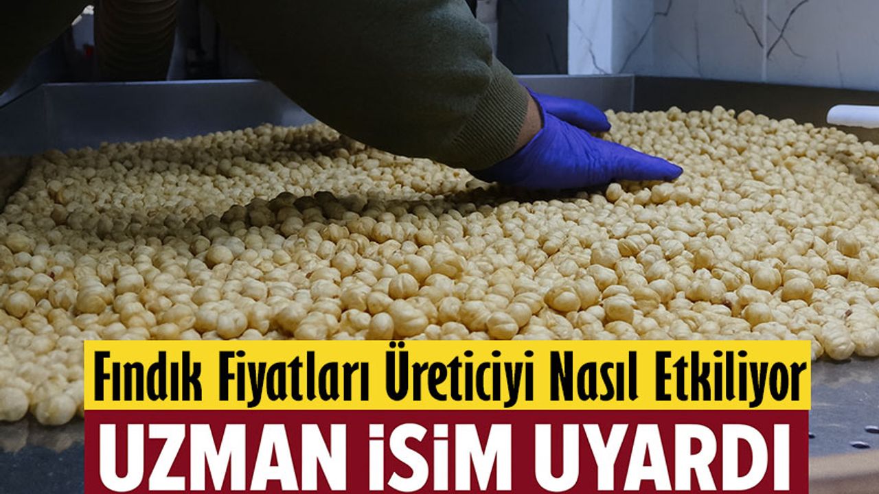 Fındık Fiyatları Tekrar Güncellendi: Uzman İsim Herkesi Uyardı!