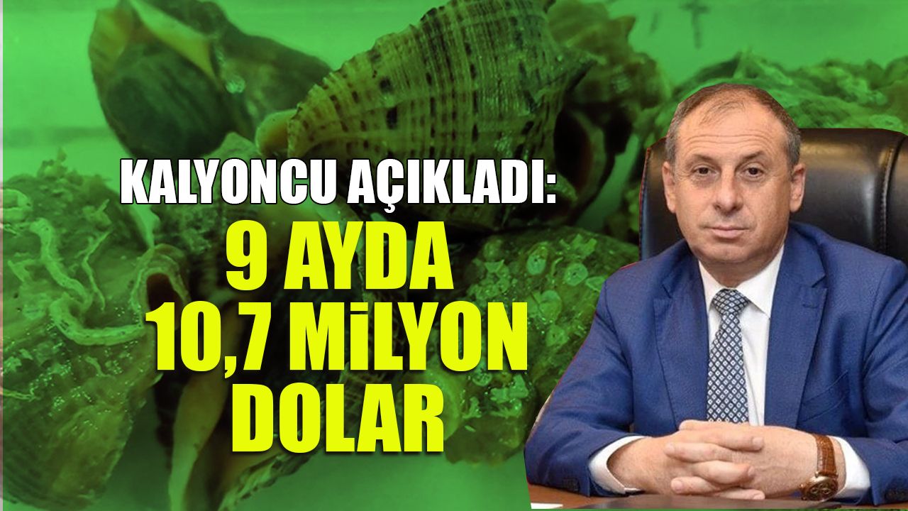 9 Ayda 10,7 Milyon Dolar! Deniz Salyangozu İhracatında Hedef Zirve