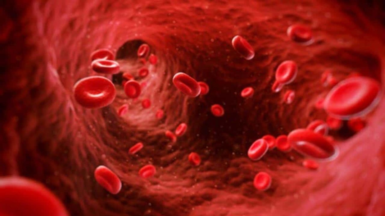 Kanama Ve Pıhtılaşma Bozuklukları Nasıl Anlaşılır? Dikkat Edilmesi Gereken Belirtiler Neler?