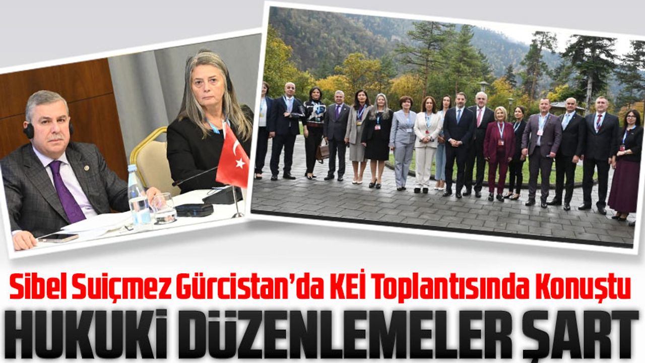 CHP Trabzon Milletvekili Av. Sibel Suiçmez, Gürcistan’da KEİ Toplantısında Ne Konuştu?