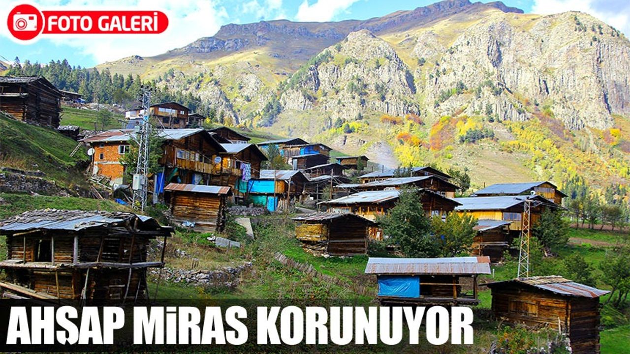 Şavşat’ın Maden Köyü betonlaşmaya direniyor: Ahşap mirasa sahip çıkılıyor