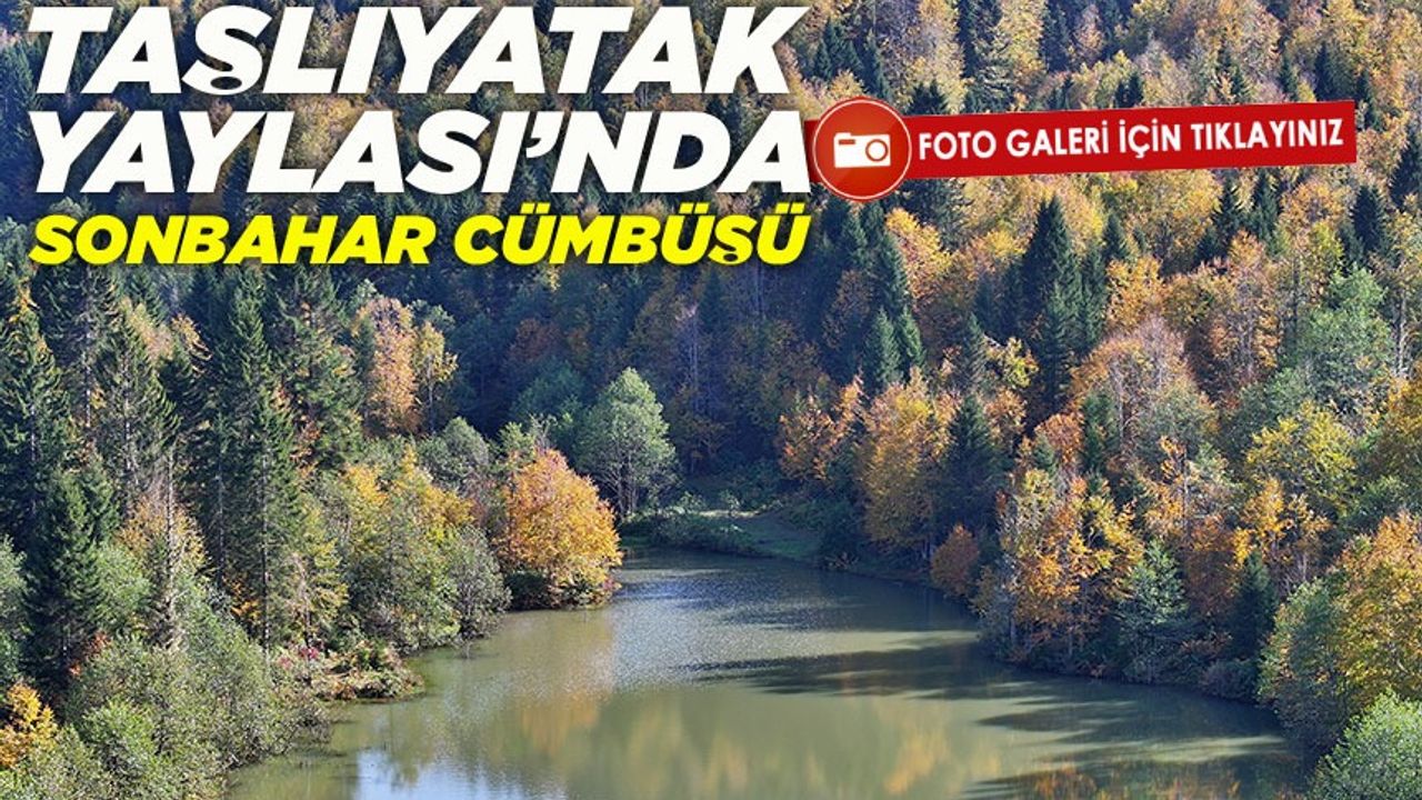 Taşlıyatak Yaylası Sonbaharda Renk Cümbüşüyle Ziyaretçilerini Büyülüyor