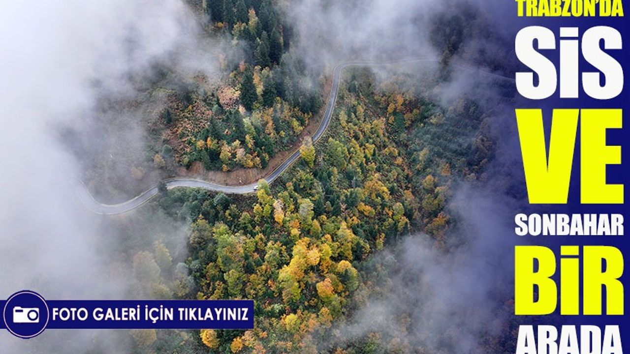 Trabzon’un Yüksek Kesimlerinde Sonbahar Büyüsü: Doğa Renk Cümbüşüne Büründü