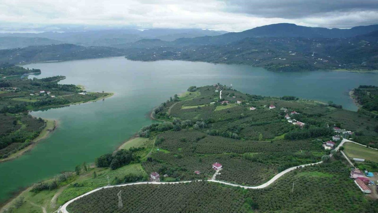 Yağmurlar Samsun'a içme suyu sağlayan barajları doldurup taşırdı
