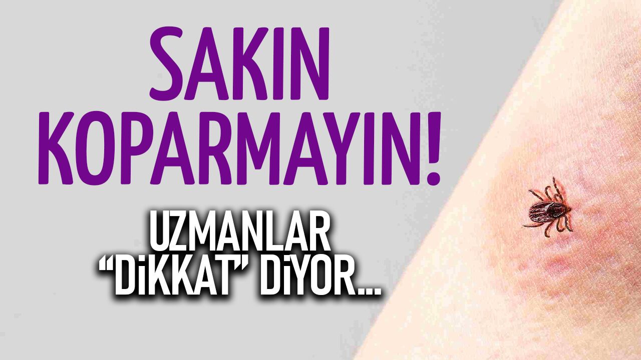 Kene Kabusu Geri Döndü: Tek Bir Yanlış Hayat Karartabilir!