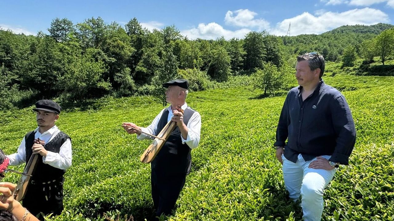 Giresun Çayı İçin Büyük Destek! Konal İlk Hasatta Üreticinin