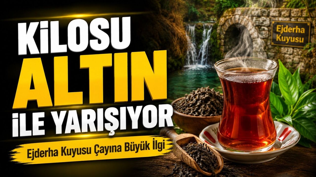Kilosu Altın İle Yarışıyor; Ejderha Kuyusu Çayı Servet Değer