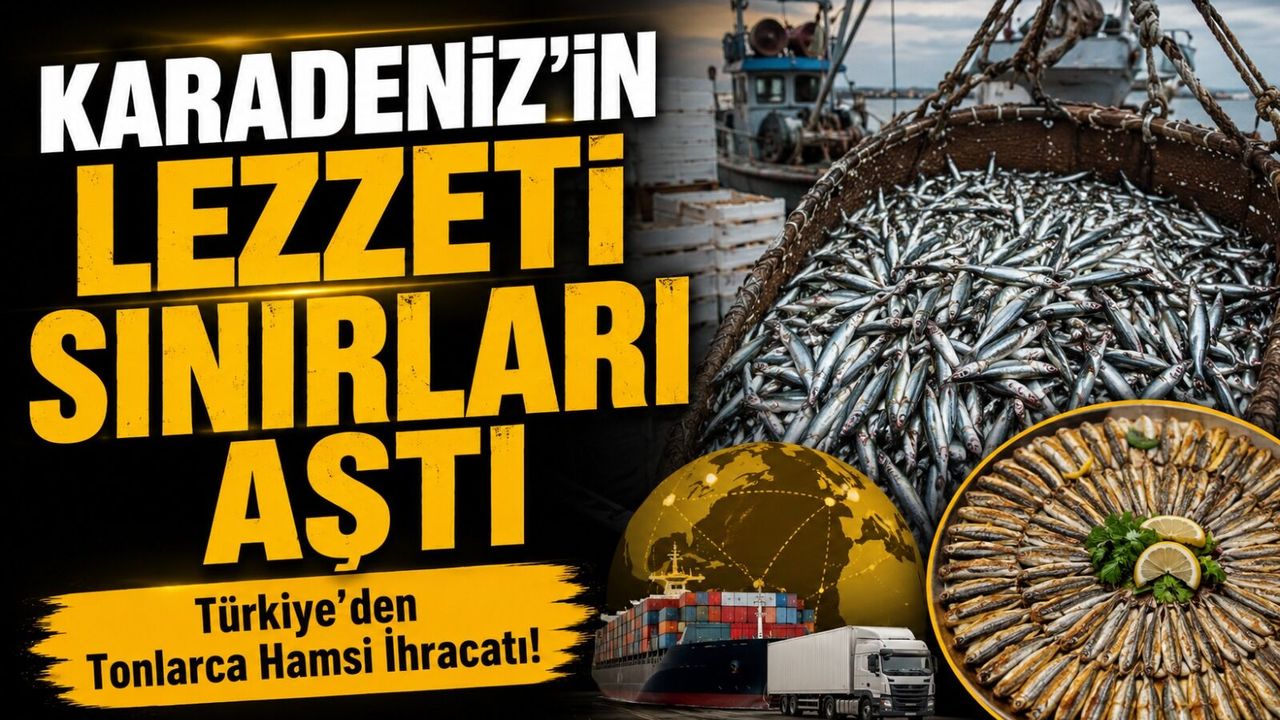 Karadeniz’in Lezzeti Sınırları Aştı; Türkiye’den 2 Bin 662 Ton Hamsi İhracatı!