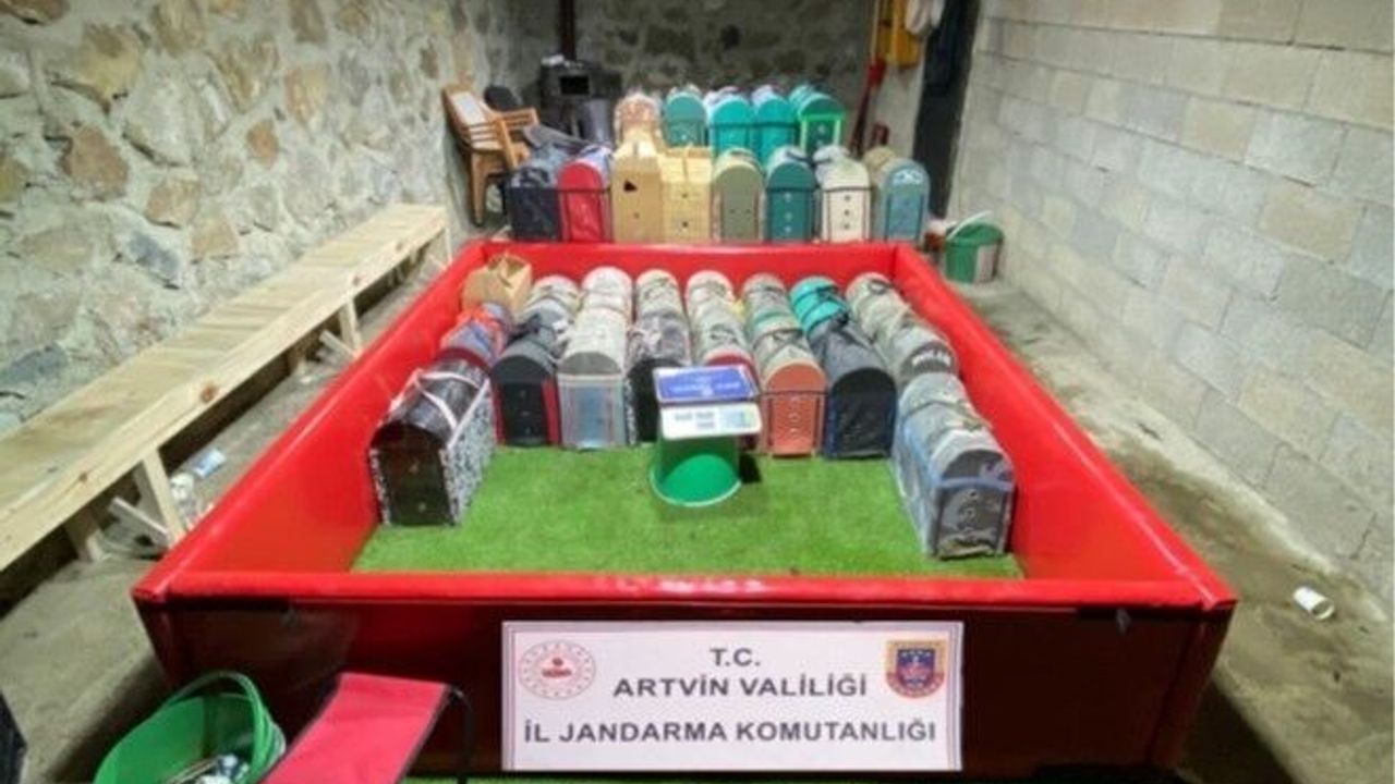 Artvin'de horoz dövüşüne jandarma baskını: 39 kişiye toplam 500 bin lira ceza