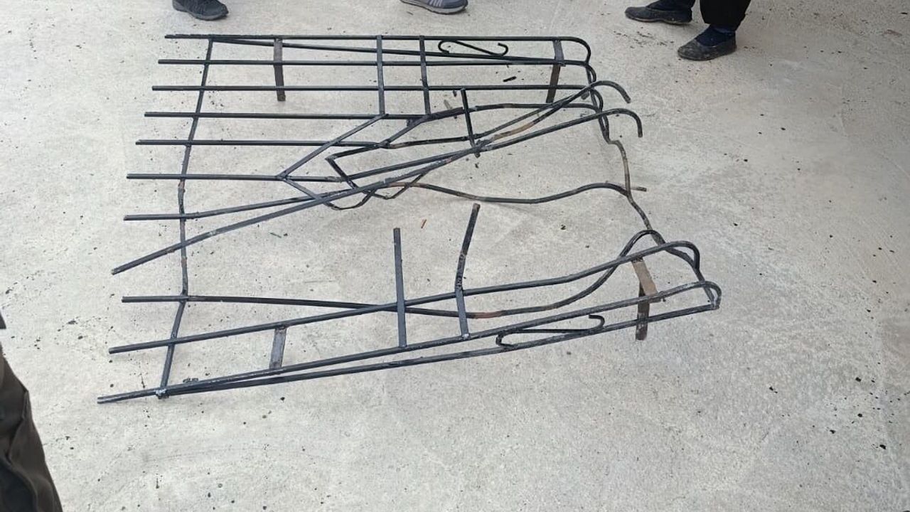 Giresun'da ayı alarmı