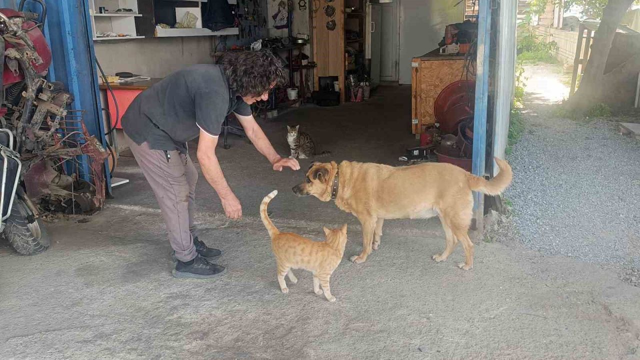 Gözleri görmeyen köpeğe 13 yıldır evladı gibi bakıyor