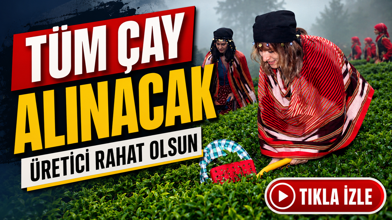 Çaykur yaş çay alımında 150 bin ton eşiği aşıldı: 