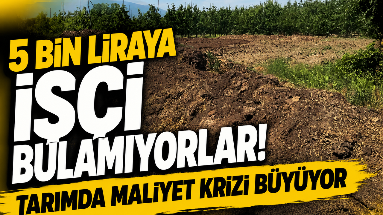 Çiftçinin Yeni Gözdesi Şaşırttı! 5 Bin Liraya İşçi
