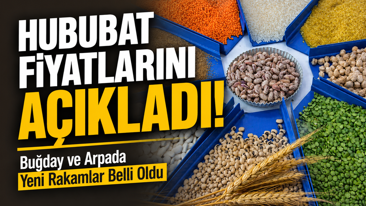 TMO 2026 Hububat Fiyatlarını Açıkladı! Buğday ve Arpada Yeni Rakamlar Belli Oldu