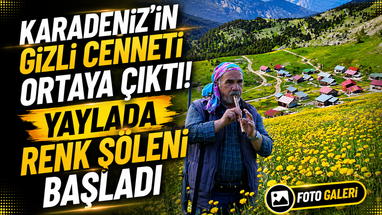 Karadeniz'in Gizli Cenneti Ortaya Çıktı! Yaylada Renk Şöleni