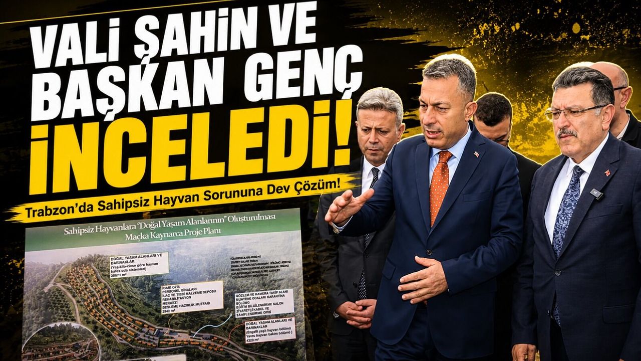 Trabzon’da Sahipsiz Hayvan Sorununa Dev Çözüm!; Vali Şahin v
