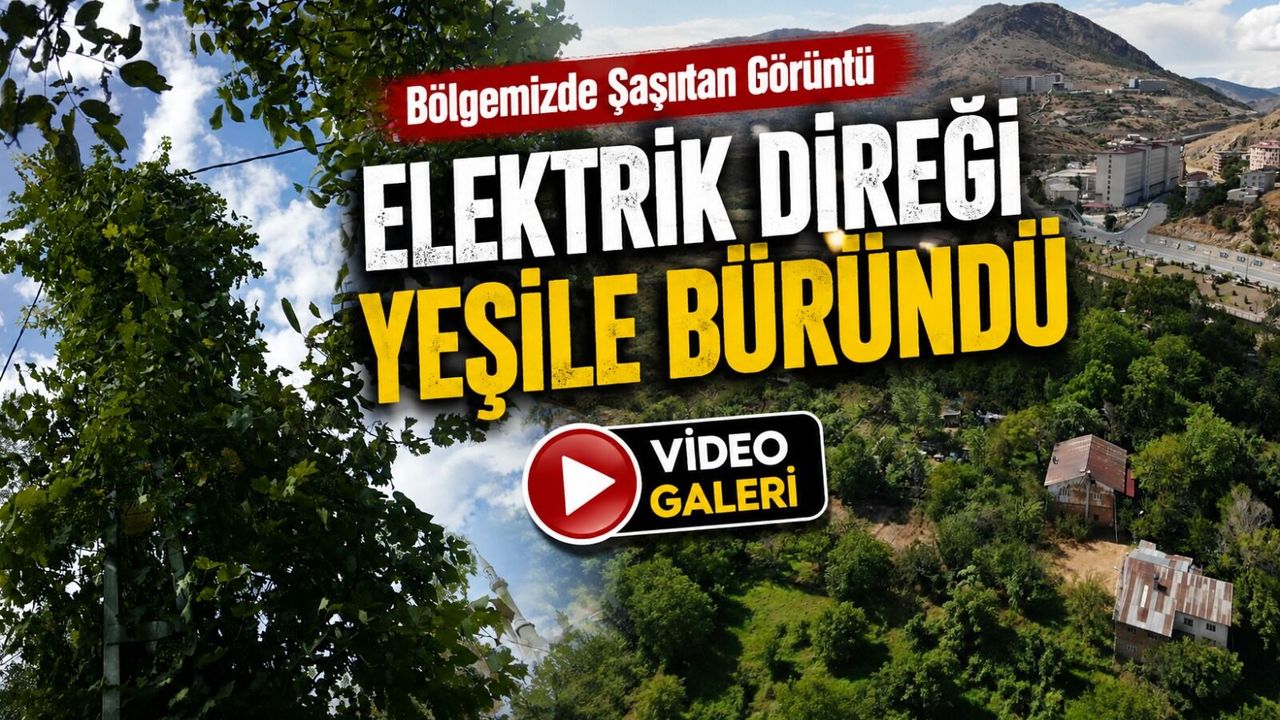 Gümüşhane’de doğa direği yuttu: Gören ağaç sanıyor