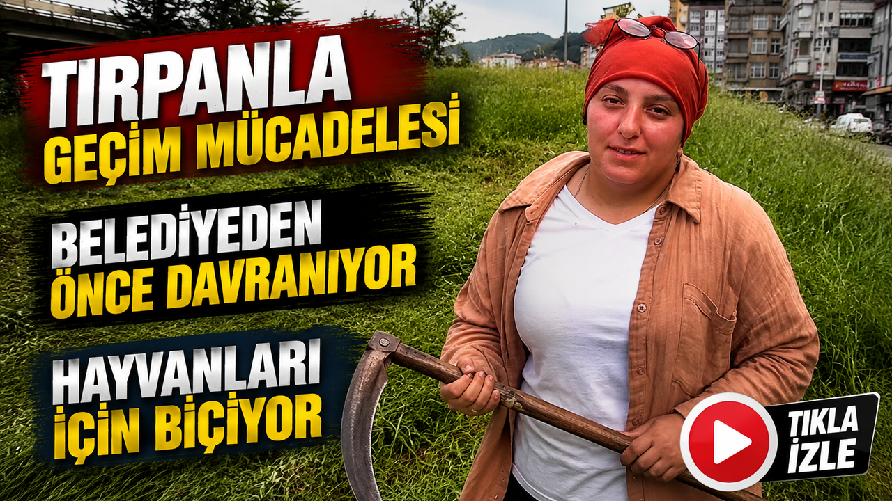 Rize’de Tırpanla Geçim Mücadelesi: “Nerede Ot Var Biz Oradayız”