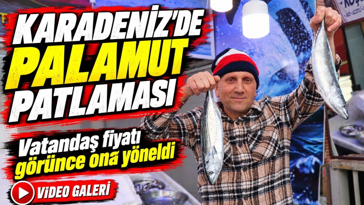 Karadeniz’de Palamut Patlaması; Vatandaş fiyatı görünce ona yöneldi