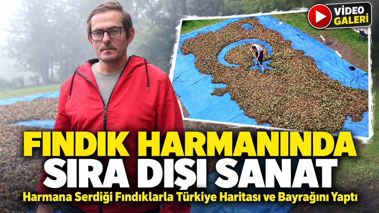 Fındık Harmanında Sıra Dışı Sanat; Harmana Serdiği Fındıklarla Türkiye Haritası ve Bayrağını Yaptı