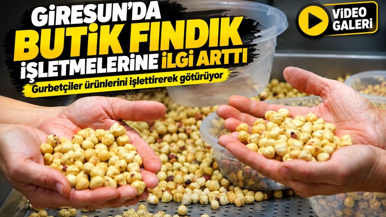 Giresun’da butik fındık işletmelerine ilgi arttı: Gurbetçiler ürünlerini işlettirerek götürüyor