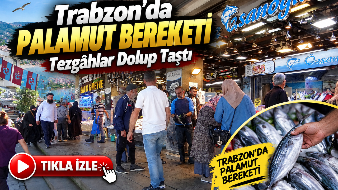 Trabzon’da palamut bolluğu: Tezgâhlarda fiyatlar 50 TL’den başlıyor