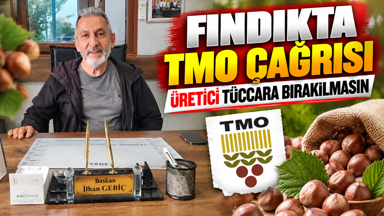 Fındıkta TMO Çağrısı: “Üretici Tüccara Mecbur Bırakılmasın”