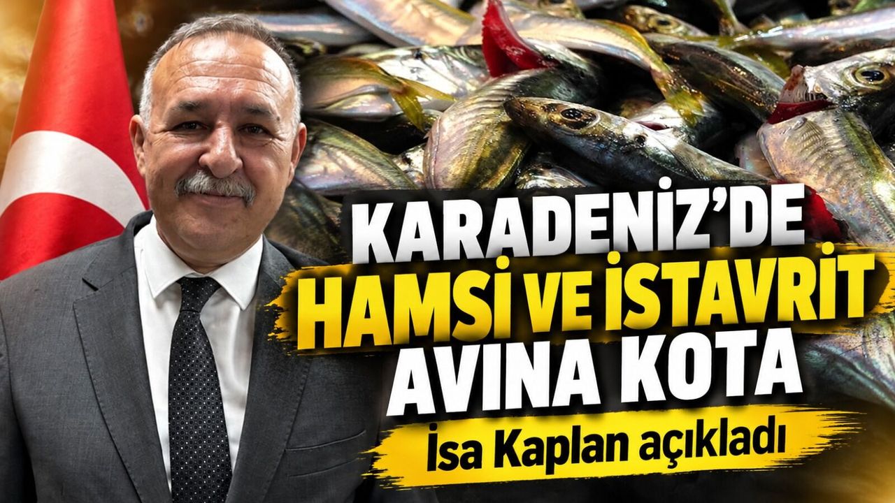 Karadeniz’de hamsi ve istavrit avına kota; İsa Kaplan açıkladı
